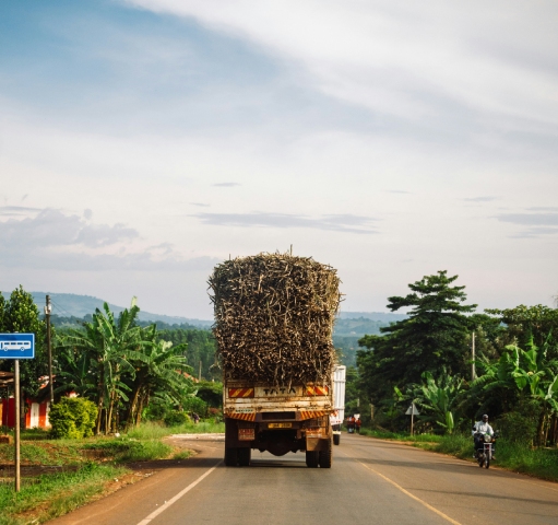 Where to explore the sugar story today