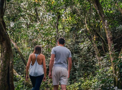 Explore Mauritius Now