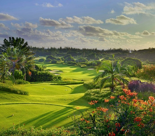 Explore Mauritius Now