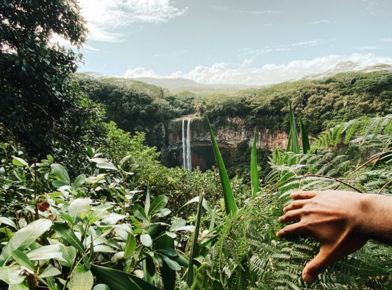 What makes the South so special?