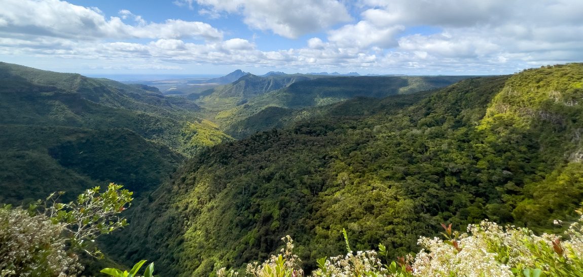 Black River Gorges National Park