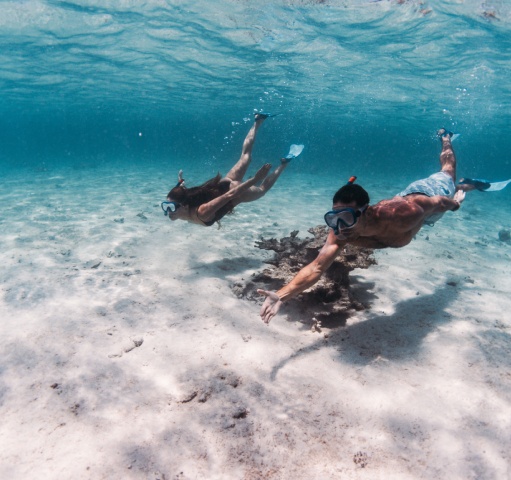 Snorkeling à l’île Maurice : calme, couleur et plaisir immédiat