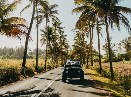L’Allée des Cocotiers à Bel Ombre